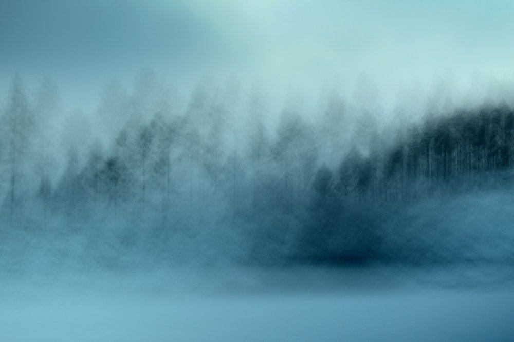  de Christina Sillen