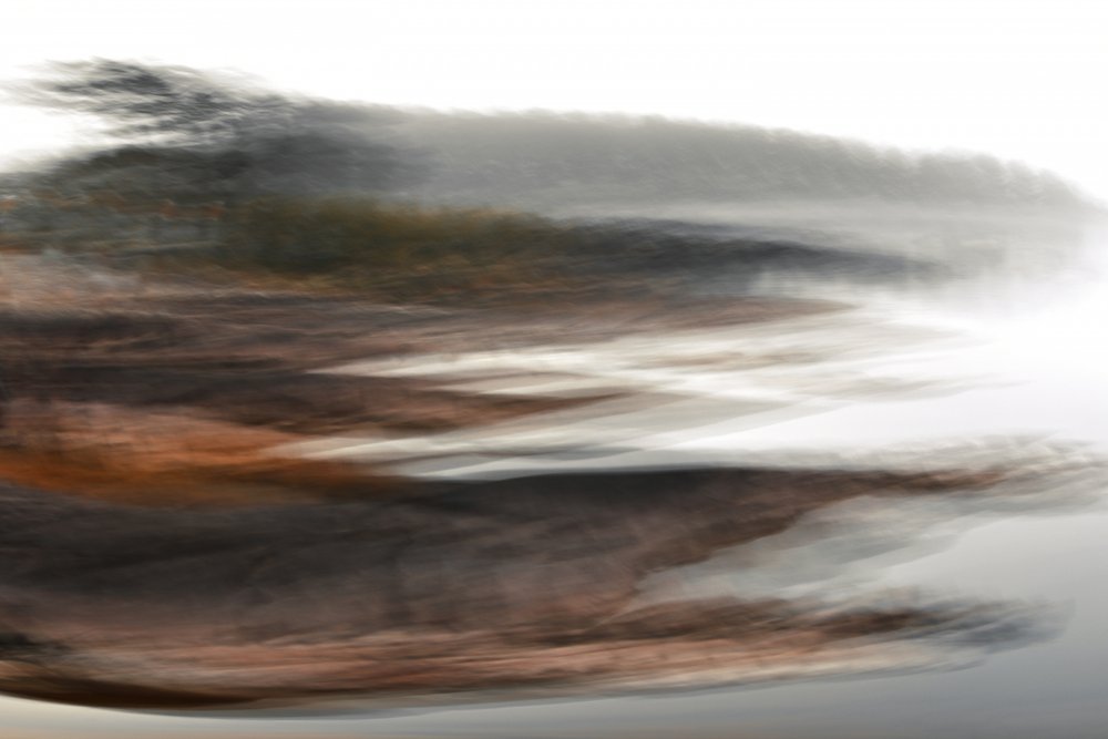 El horizonte del bosque brumoso de Christina Sillen