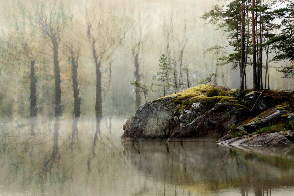 El lago del Bosque Brumoso de Christina Sillen