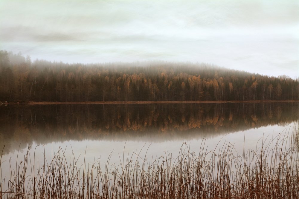 Reflejos del bosque brumoso de Christina Sillen