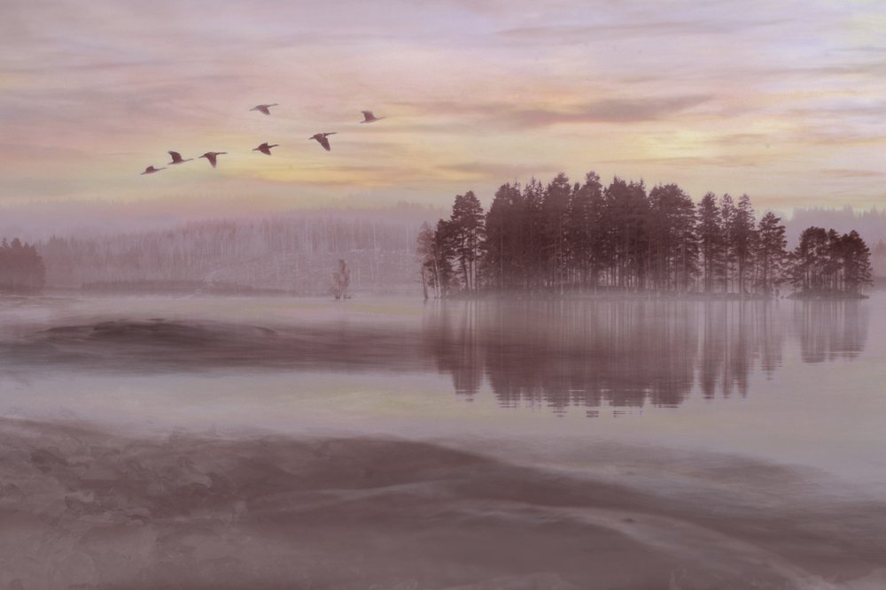 El vuelo de las aves sobre el lago Misty de Christina Sillen