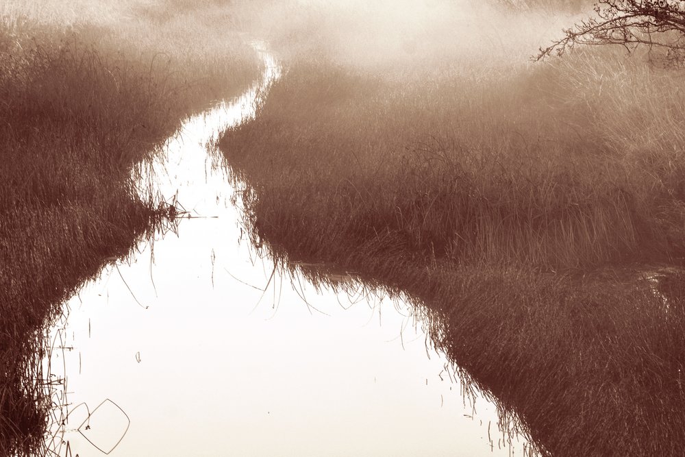 El sendero del río Misty de Christina Sillen