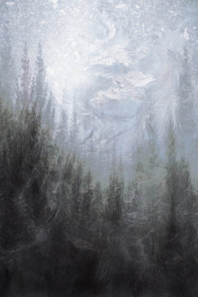 Bosque invernal brumoso de Christina Sillen