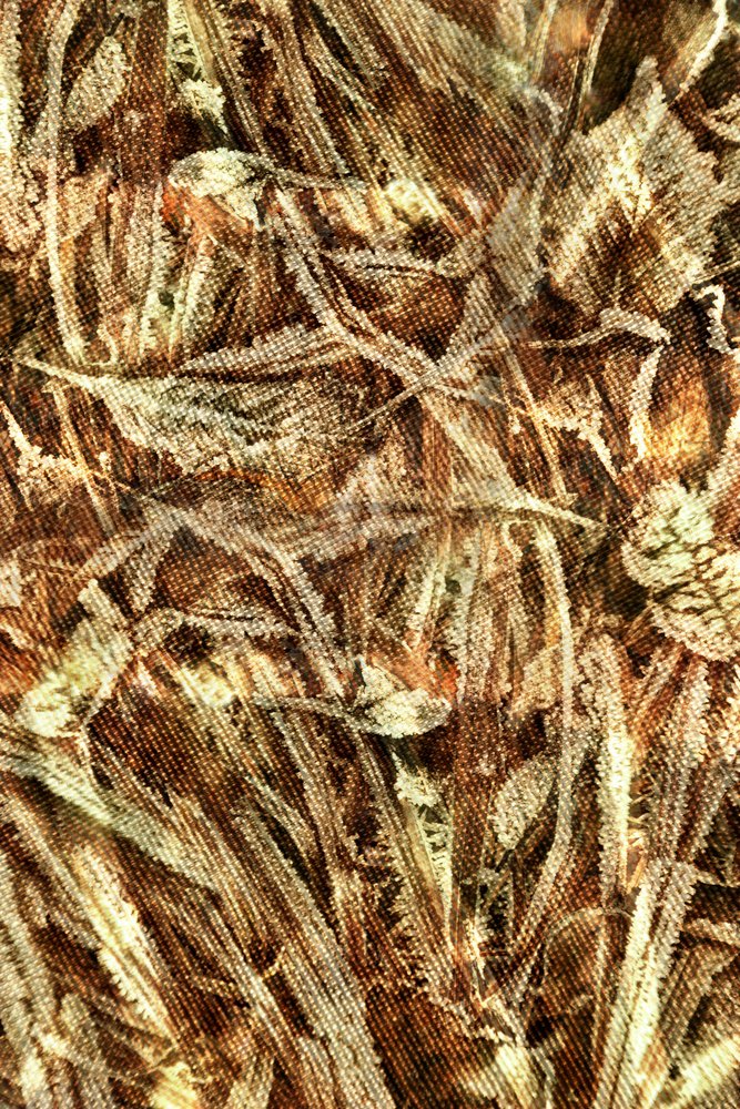 Patrón de camuflaje natural de Christina Sillen