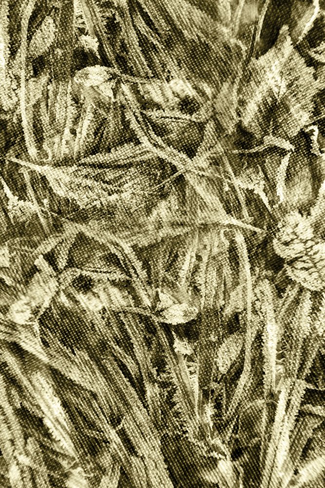 Textura de hoja rústica de Christina Sillen