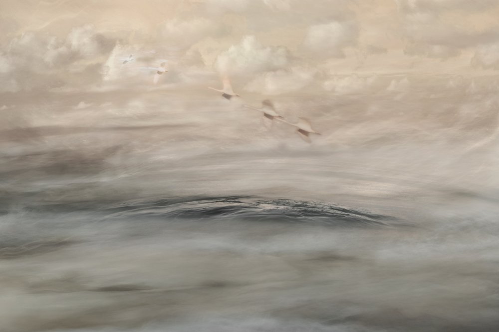 Silver Haze de Christina Sillen