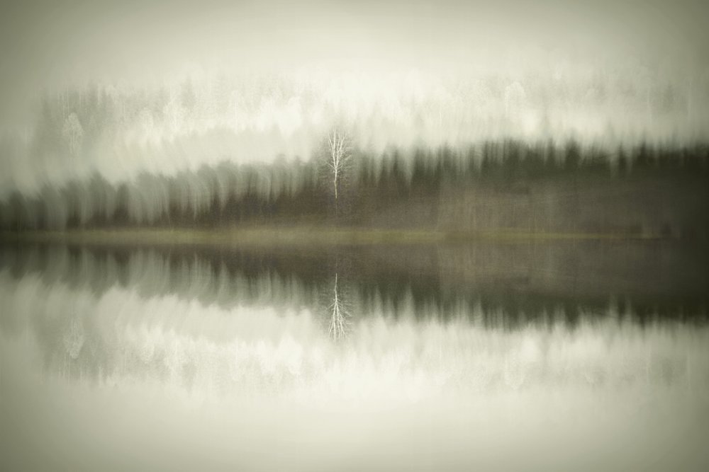 El lago del abedul solitario de Christina Sillen