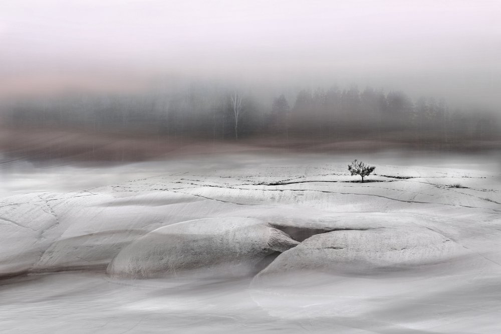  de Christina Sillen