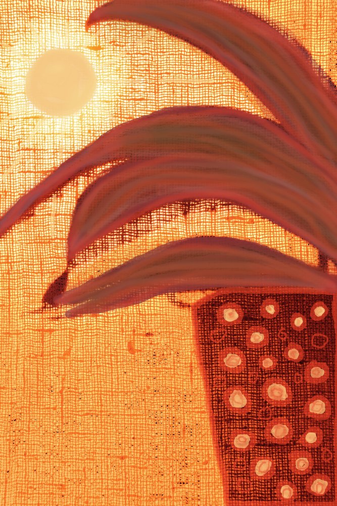 Planta del desierto soleado de Christina Sillen