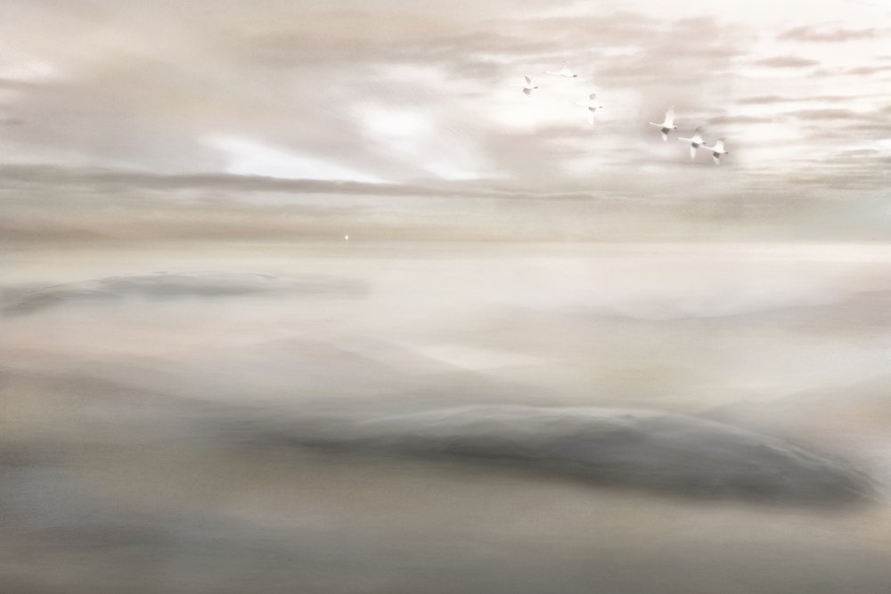 Canto del cisne a la niebla de Christina Sillen