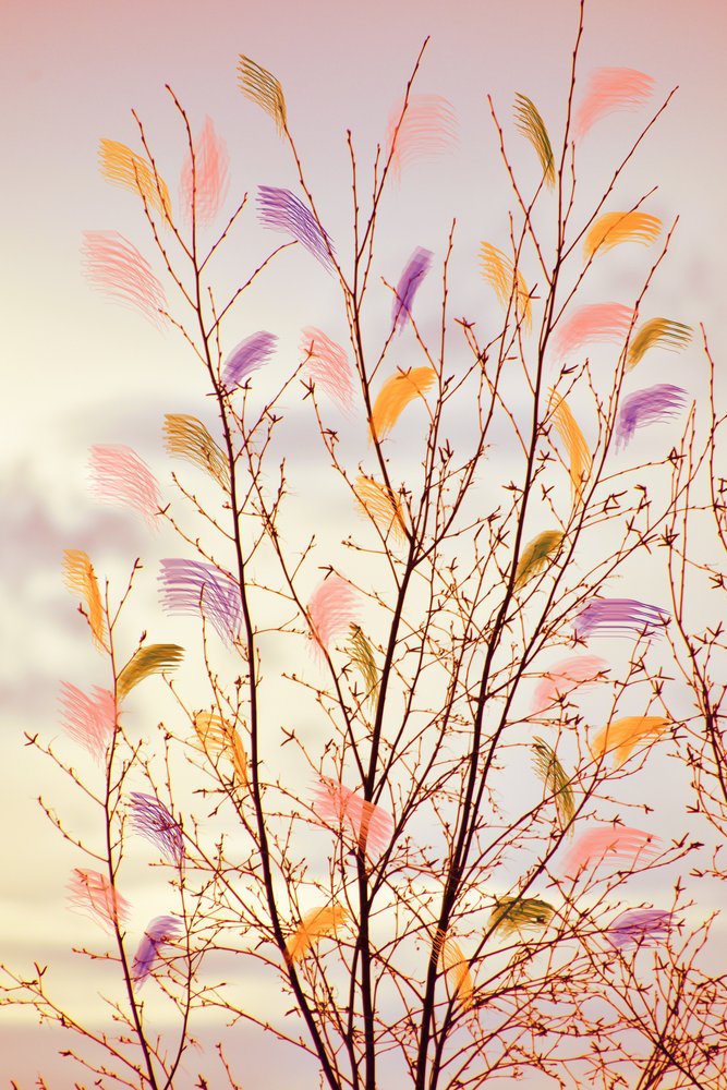 Ramas primaverales caprichosas de Christina Sillen