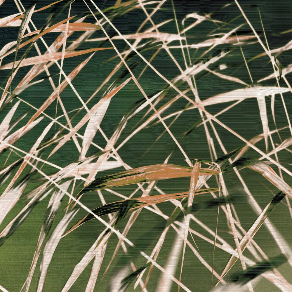 Resumen de «Whispering Reeds» de Christina Sillen
