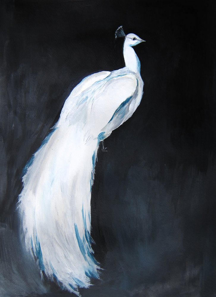 Elegante pavo real blanco de Christine Lindstrom
