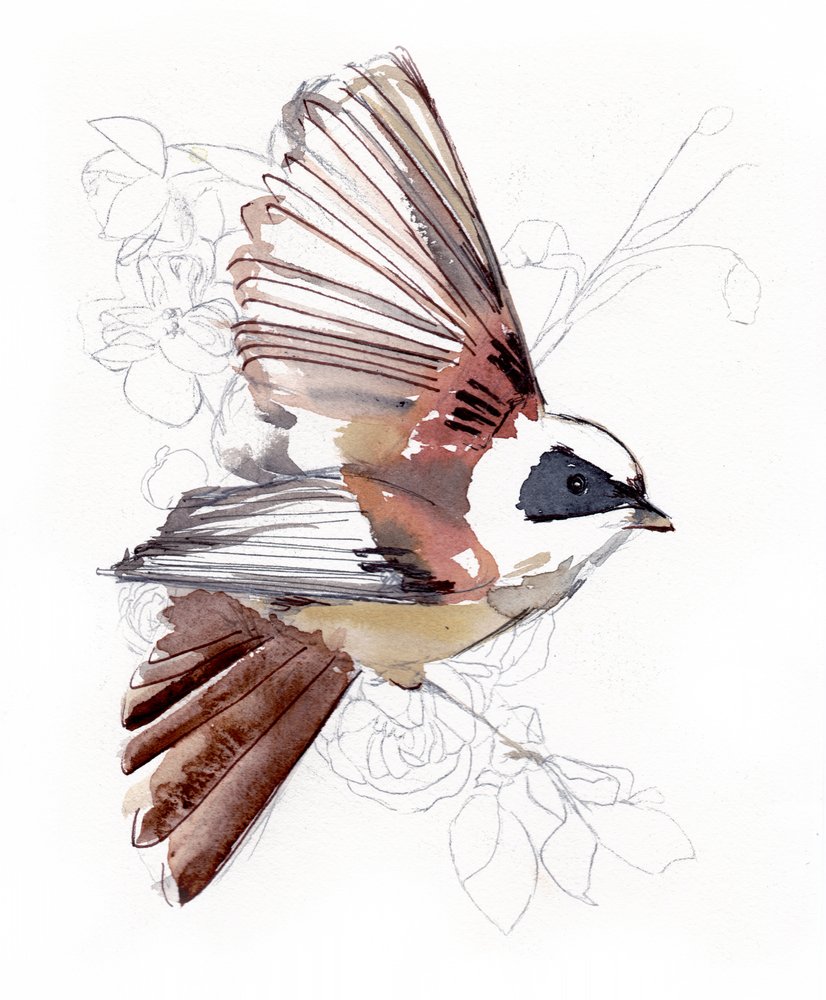 Pájaro volador en acuarela de Christine Lindstrom