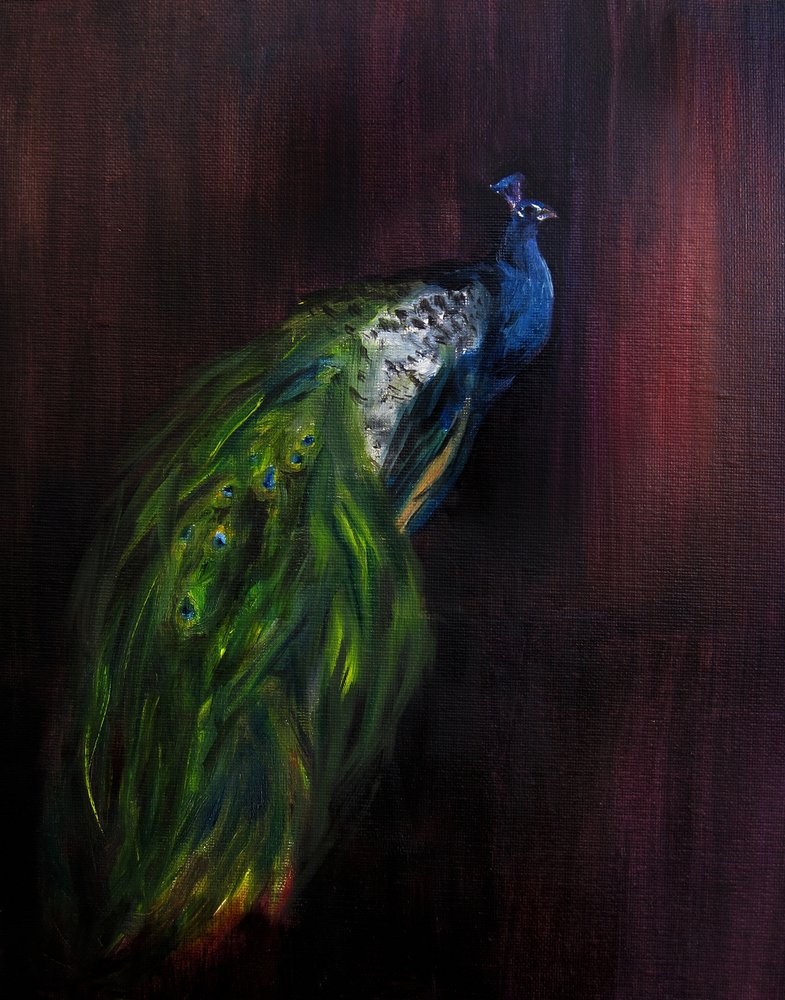 Retrato de un pavo real majestuoso de Christine Lindstrom