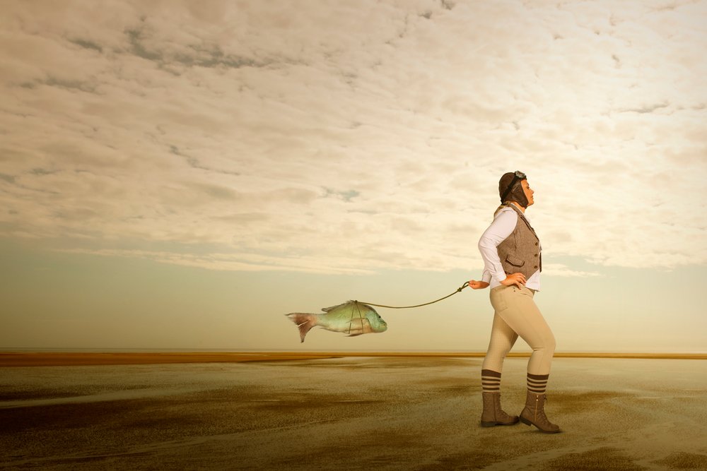 Aviator: El líder en pesca de Christine von Diepenbroek