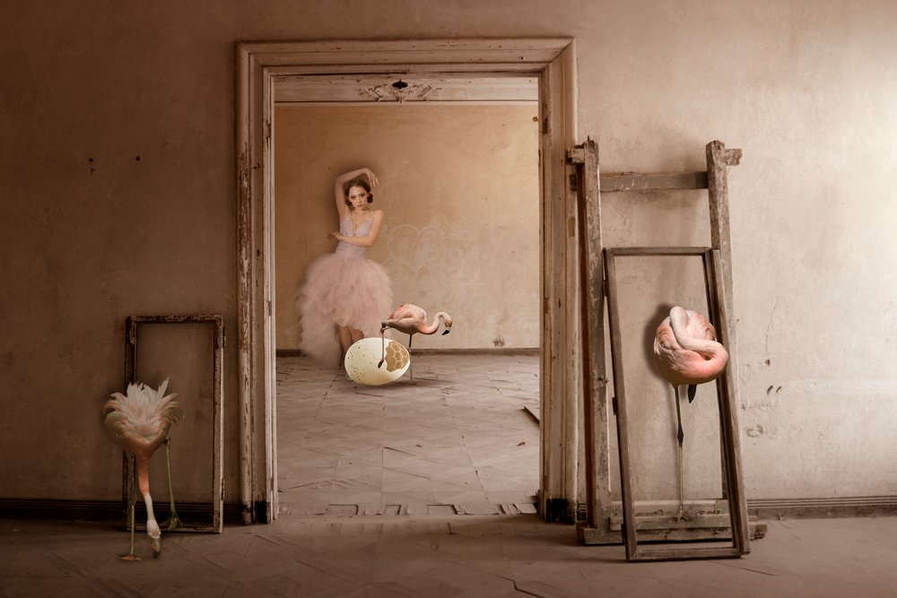 El sueño del ballet de los flamencos de Christine von Diepenbroek