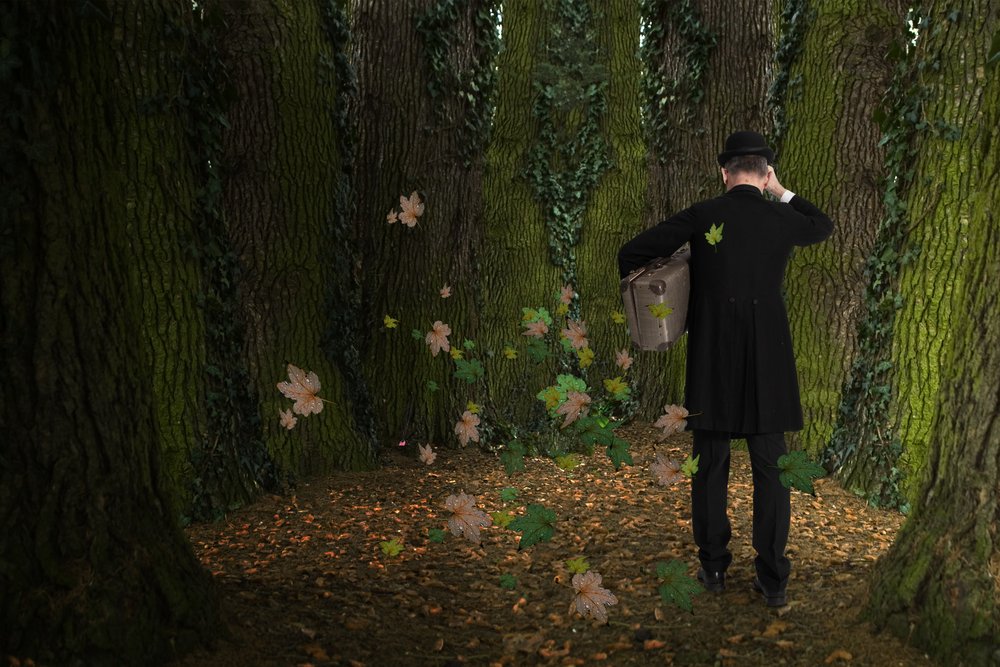 El viaje del hombre por el bosque de Christine von Diepenbroek