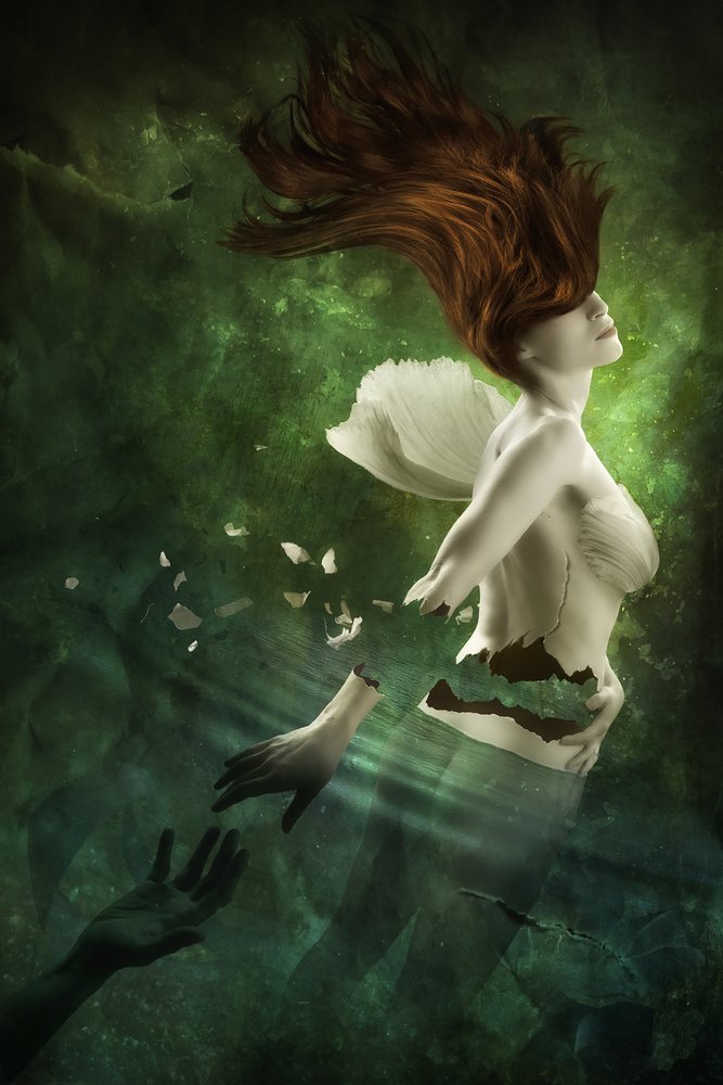  de Christophe Kiciak