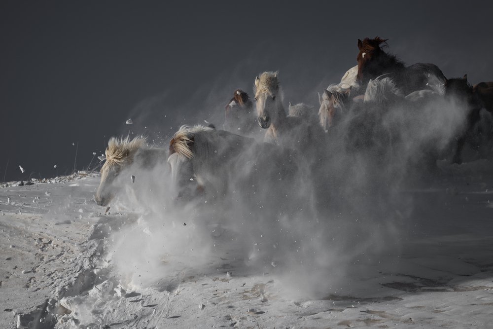  de Chuanxu Ren