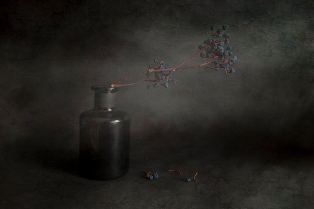 Naturaleza muerta con bayas oscuras de Cicek Kiral