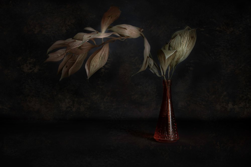 Naturaleza muerta botánica oscura de Cicek Kiral