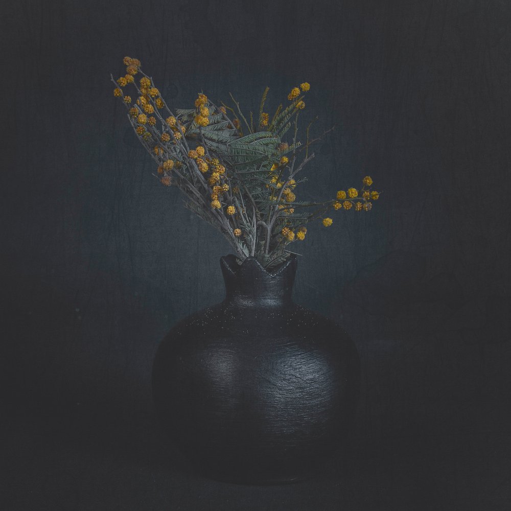 Naturaleza muerta floral oscura de Cicek Kiral
