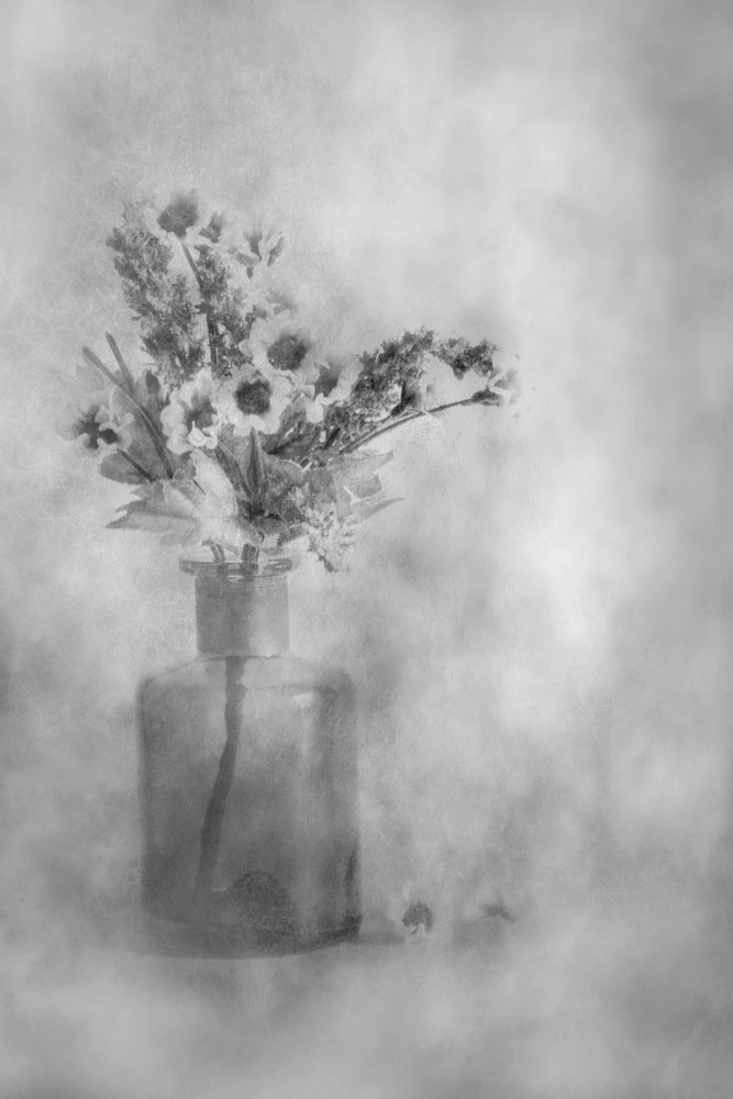 Flores de ensueño en blanco y negro de Cicek Kiral