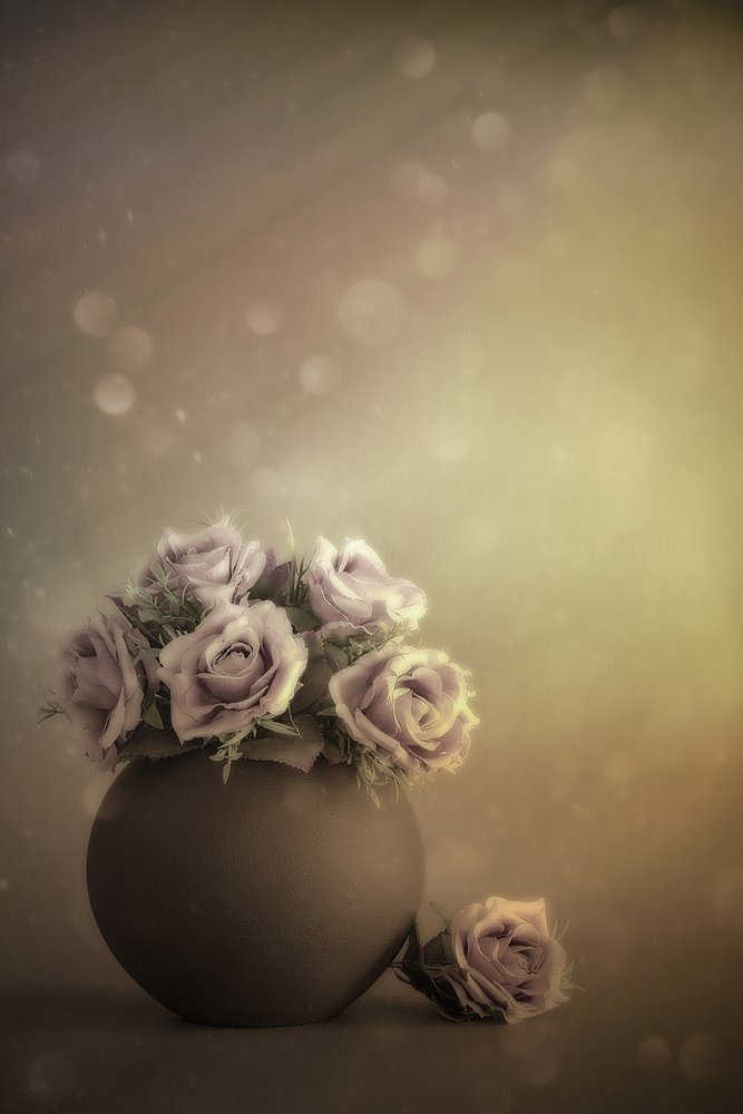 Rosas en tonos pastel de ensueño de Cicek Kiral