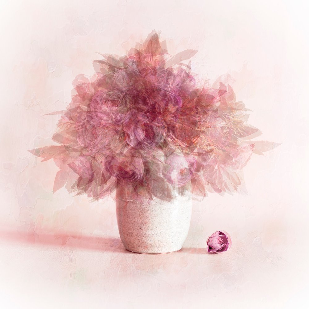 Flores rosas de ensueño de Cicek Kiral