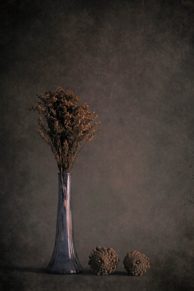 Naturaleza muerta con plantas secas de Cicek Kiral