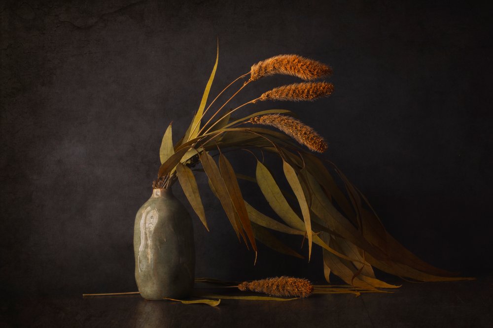 Naturaleza muerta con plantas secas de Cicek Kiral