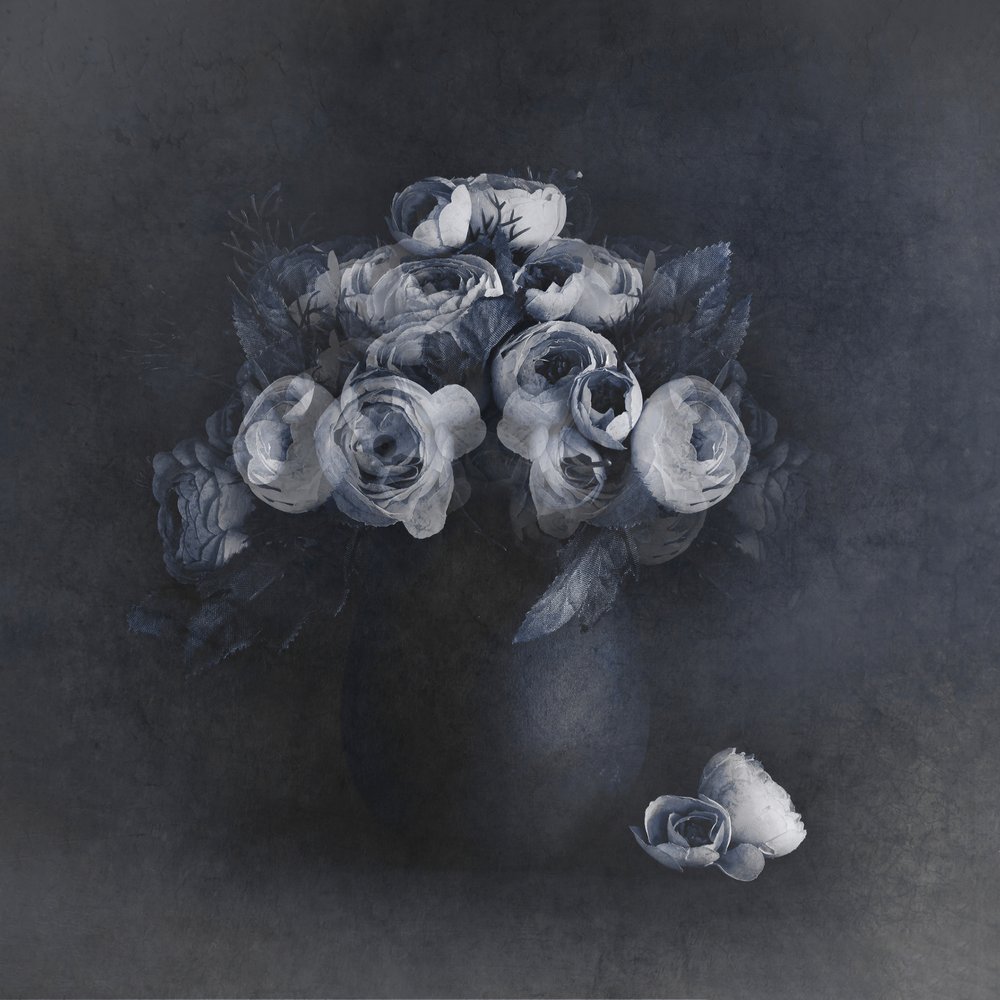 Elegantes flores grises de Cicek Kiral