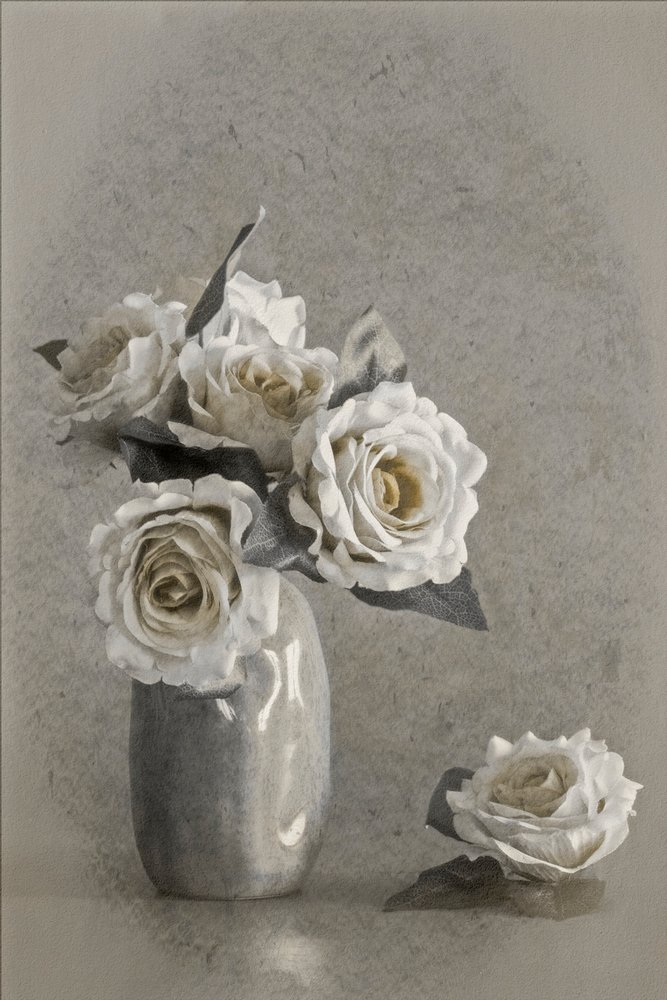 Elegantes rosas blancas de Cicek Kiral