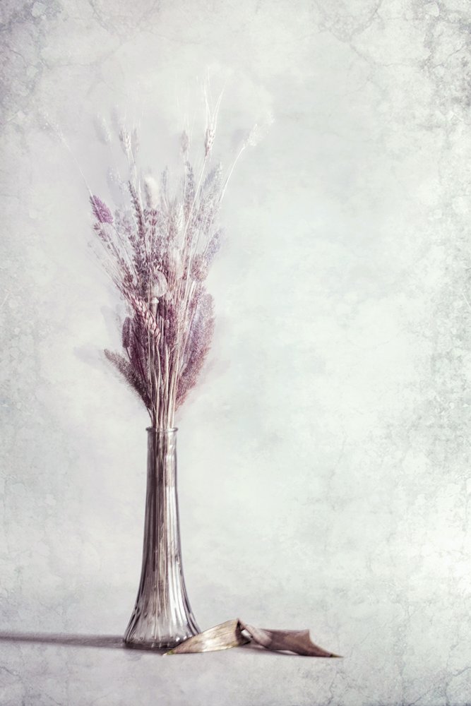 Naturaleza muerta etérea con lavanda de Cicek Kiral