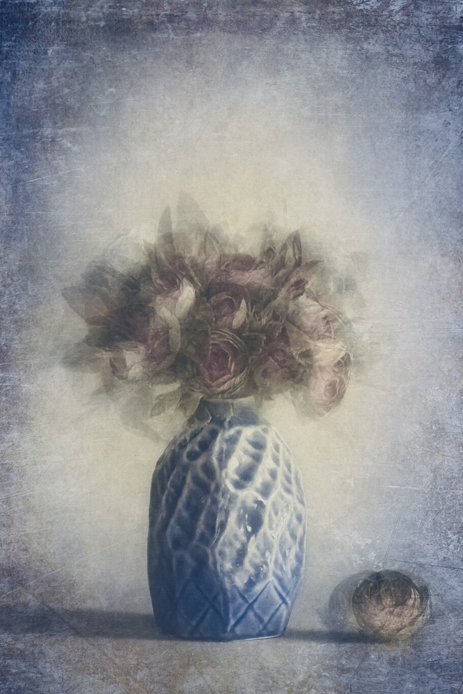 Naturaleza muerta con rosa marchita de Cicek Kiral
