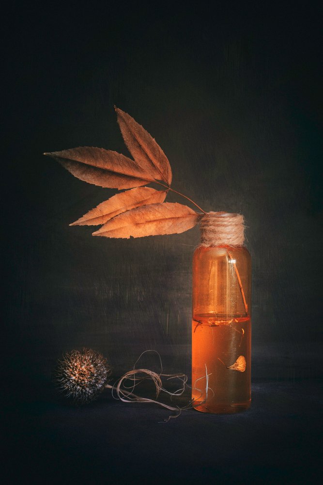Elementos del otoño dorado de Cicek Kiral