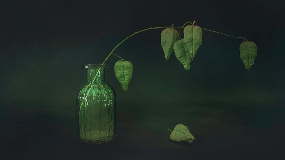 Naturaleza muerta con hojas verdes de Cicek Kiral