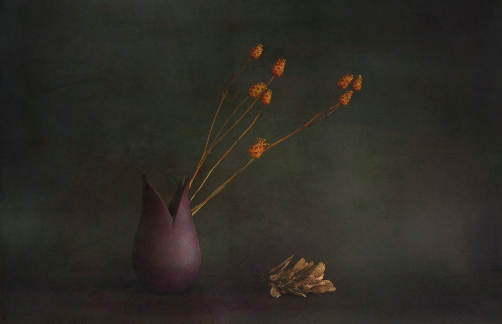 Jarrón botánico «Moody» de Cicek Kiral