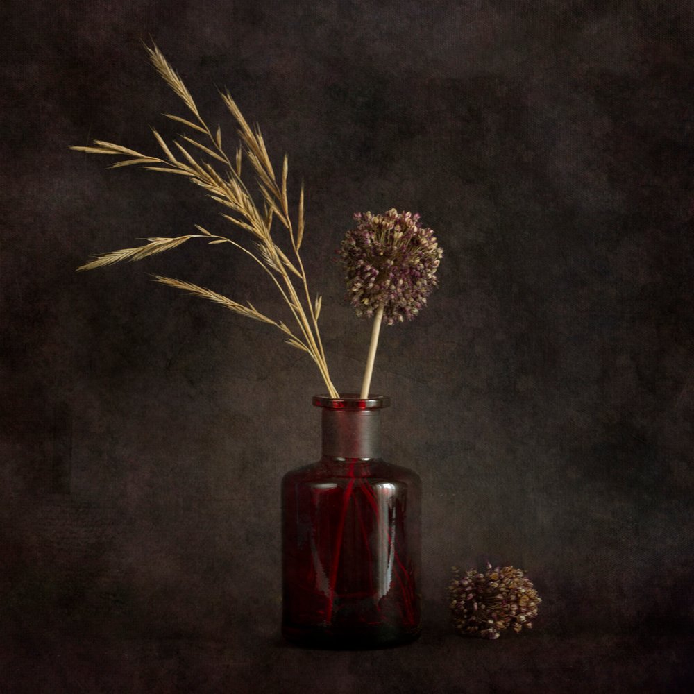 Moody: Plantas secas de Cicek Kiral