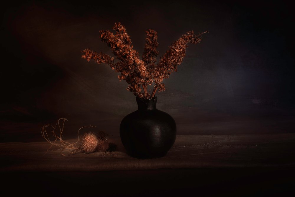 Moody: Plantas secas de Cicek Kiral
