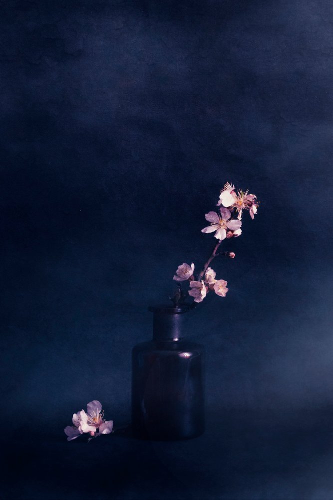 Jarrón floral «Moody» de Cicek Kiral