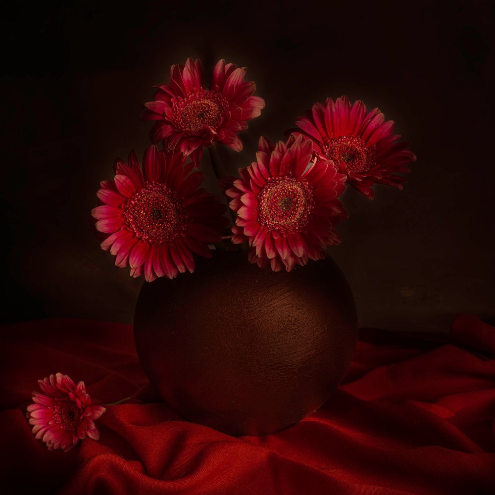 Naturaleza muerta con gerberas melancólicas de Cicek Kiral