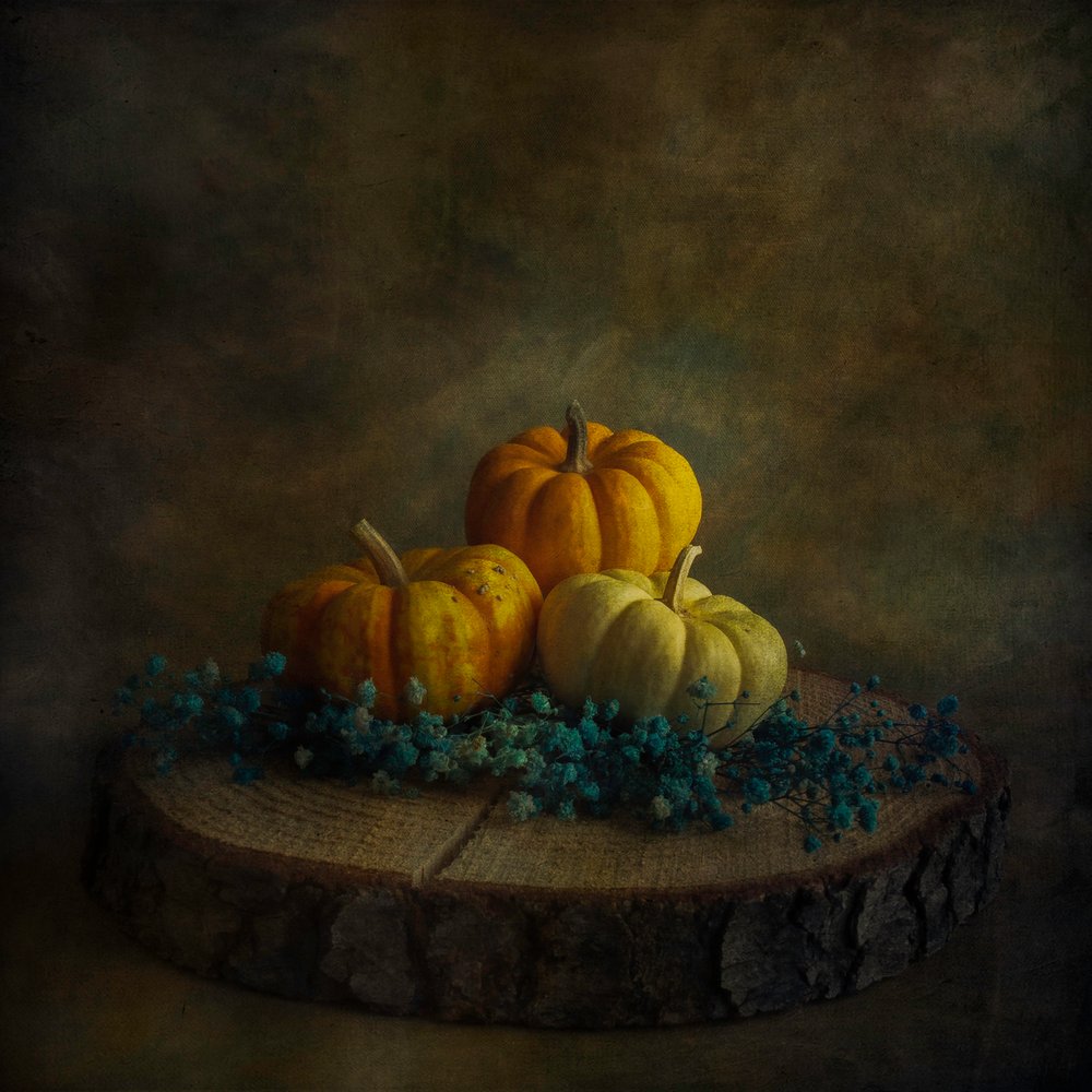 Calabazas de Moody Harvest de Cicek Kiral
