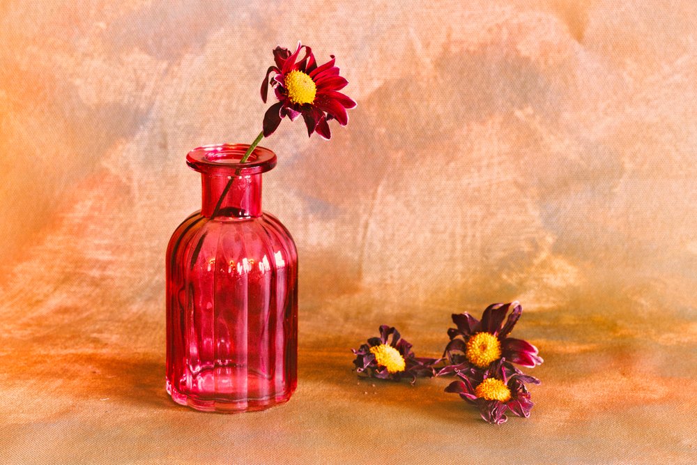 Dalias «Moody Red» de Cicek Kiral