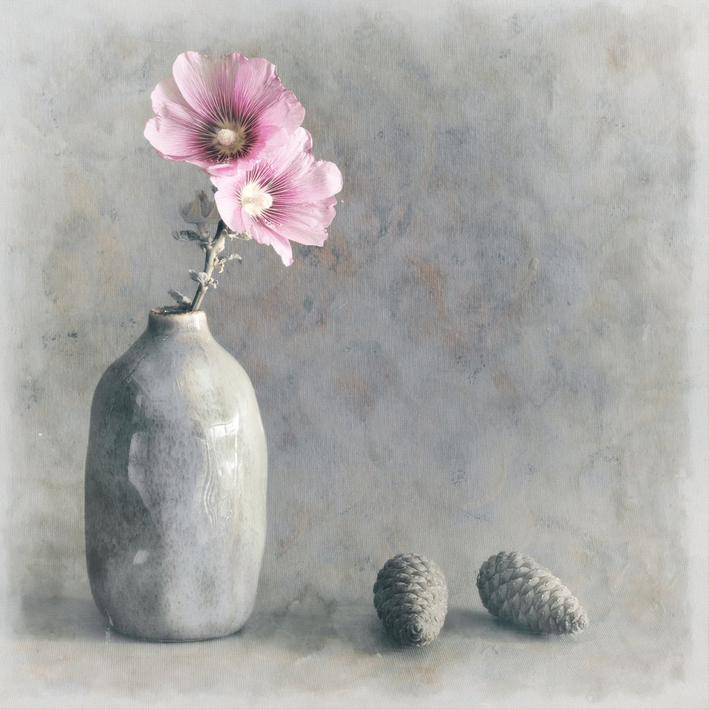 Naturaleza muerta con malva rosa de Cicek Kiral