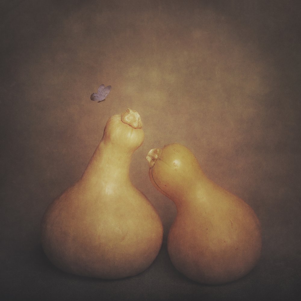 Calabazas rústicas y mariposa de Cicek Kiral