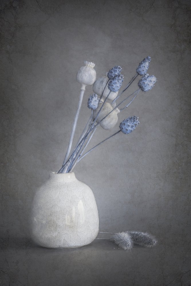 Flores secas «Serene» de Cicek Kiral