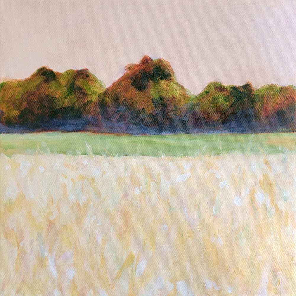  de Claire Whitehead