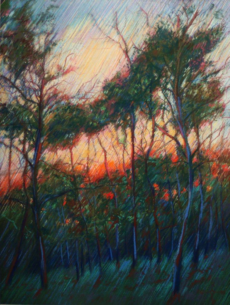 El resplandor del atardecer en el bosque de Corné Akkers